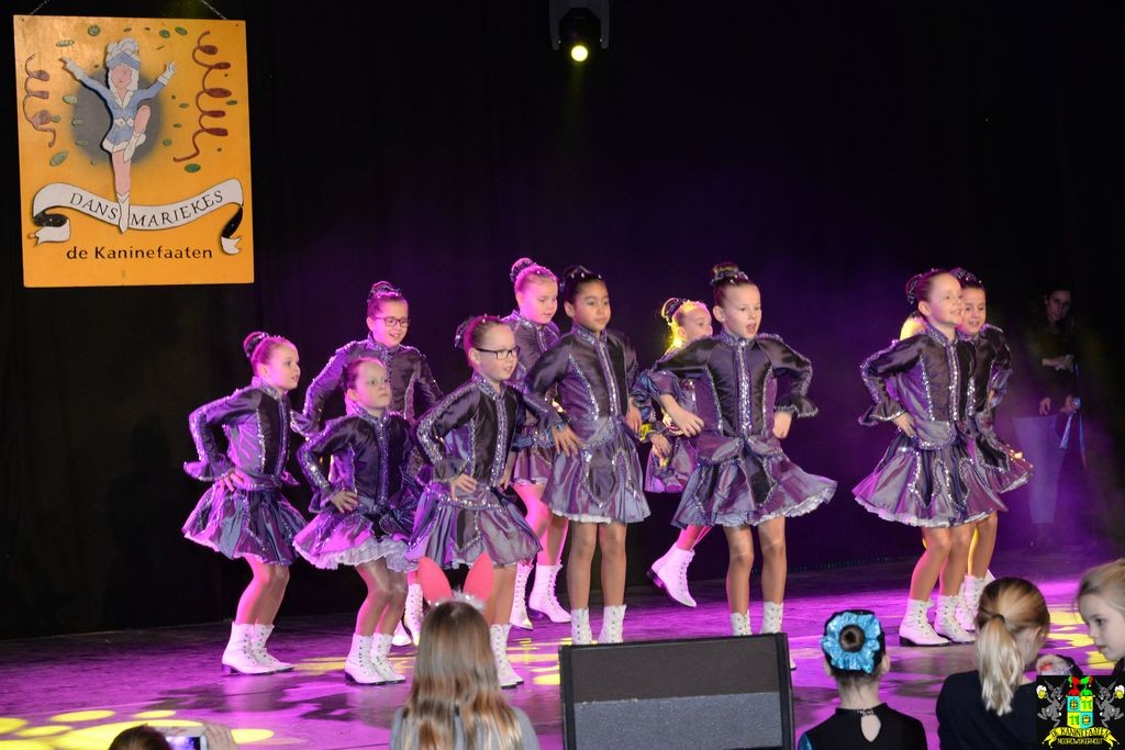 ../Images/Dansmarieke festival 2018 101.jpg